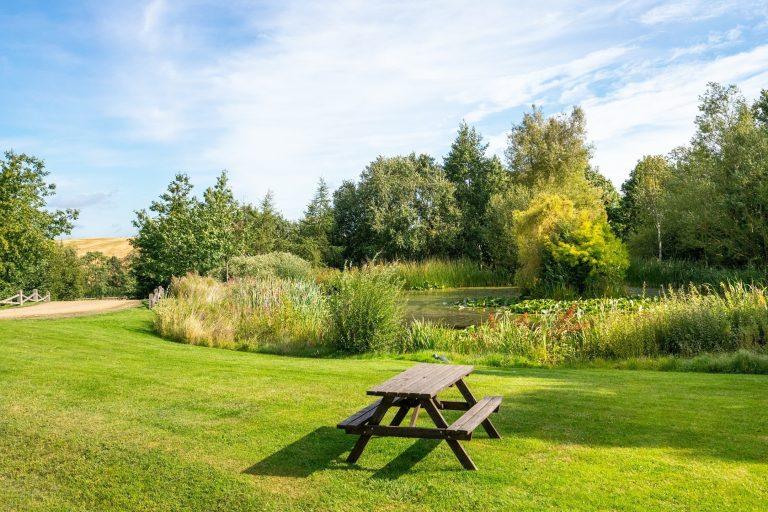 Notre domaine de 14 acres est entouré d'animaux sauvages et de nature. On y trouve des cerfs, des blaireaux, des oies, des canards, des poules d'eau, des lapins de garenne, des faisans et bien d'autres choses encore.