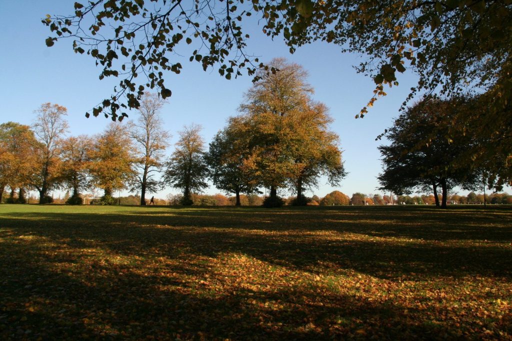 The Racecourse park in Northampton on a sunny October morning with autumn trees and fallen leaves