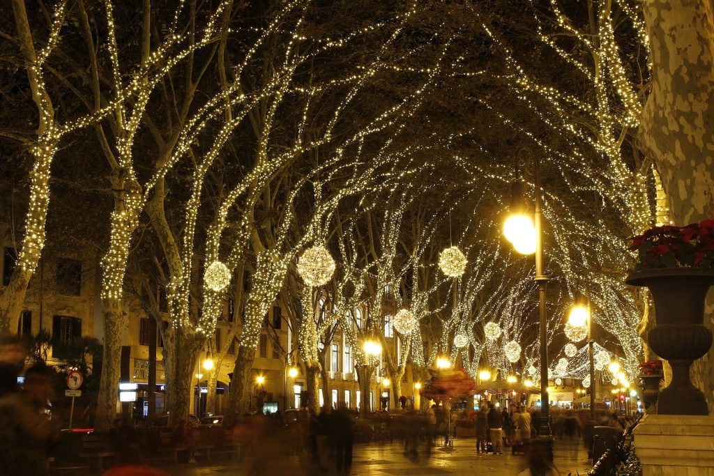 Plane trees wrapped in warm Christmas lights along a central avenue in Palma de Mallorca in December